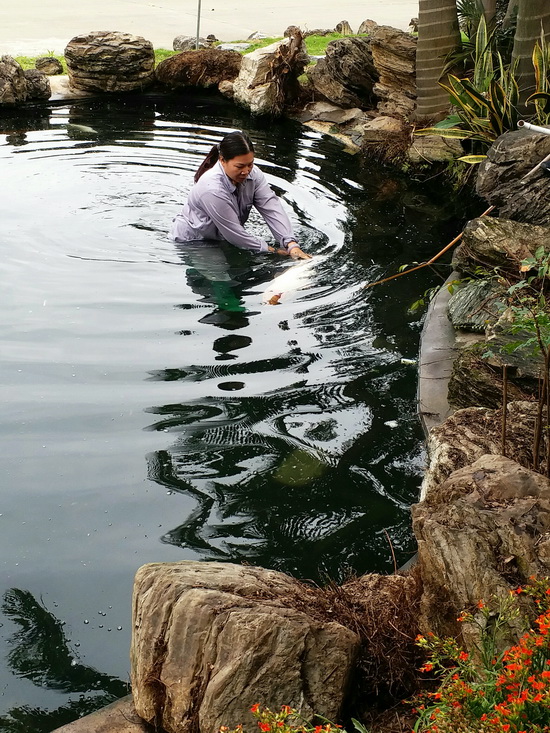 微信圖片_20190305104834.jpg 微信圖片_20190305104834.jpg