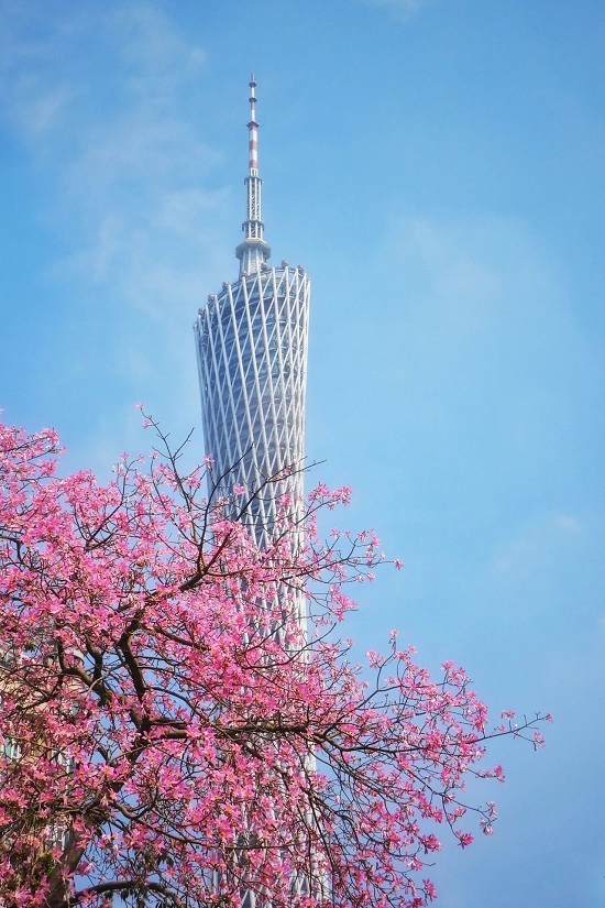 5a1a2d8629715c6488021206483ad967.jpg 5a1a2d8629715c6488021206483ad967.jpg